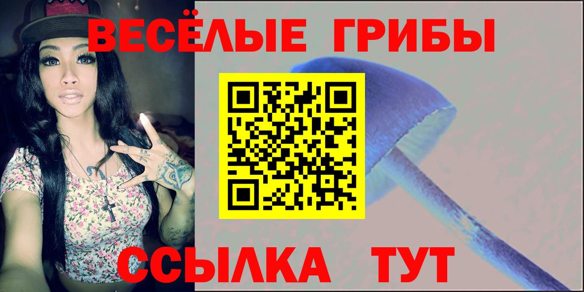 Псилоцибиновые грибы MAGIC MUSHROOMS Приморско-Ахтарск