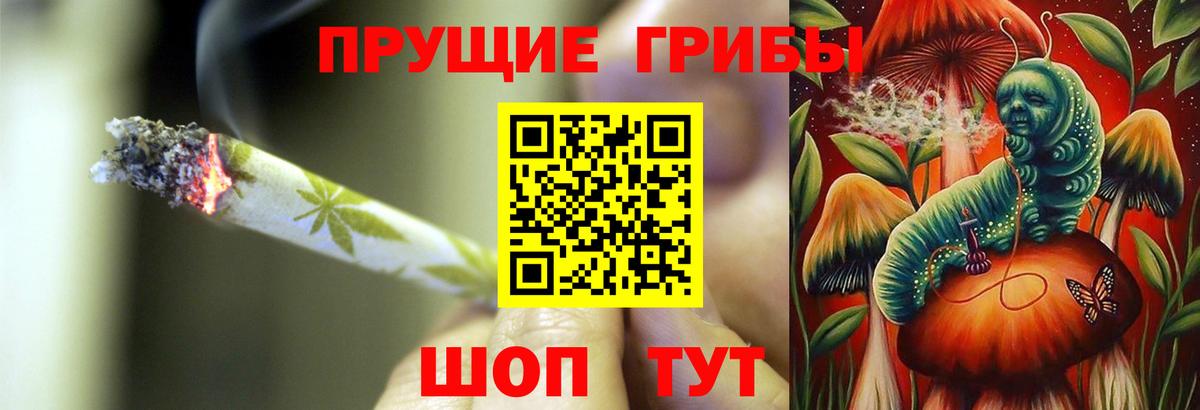 Приморско-Ахтарск  Псилоцибиновые грибы мицелий  Вход с VPN 
